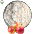 Polvo de vinagre de sidra de manzana blanca de fruta orgánica china